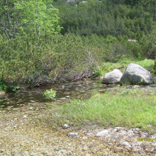 S7300030-002
