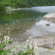 S7300037-009