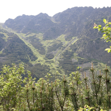 P6174251-024