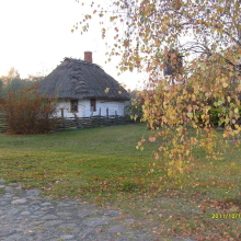 S7300293-007