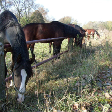S7300365-069