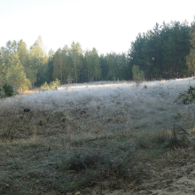 DSC03840-038