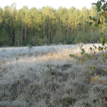 DSC03841-039